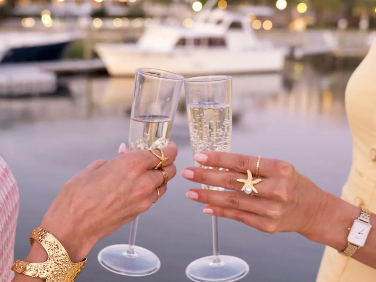 Guests celebrating with wine aboard Southern Wonder Yacht
