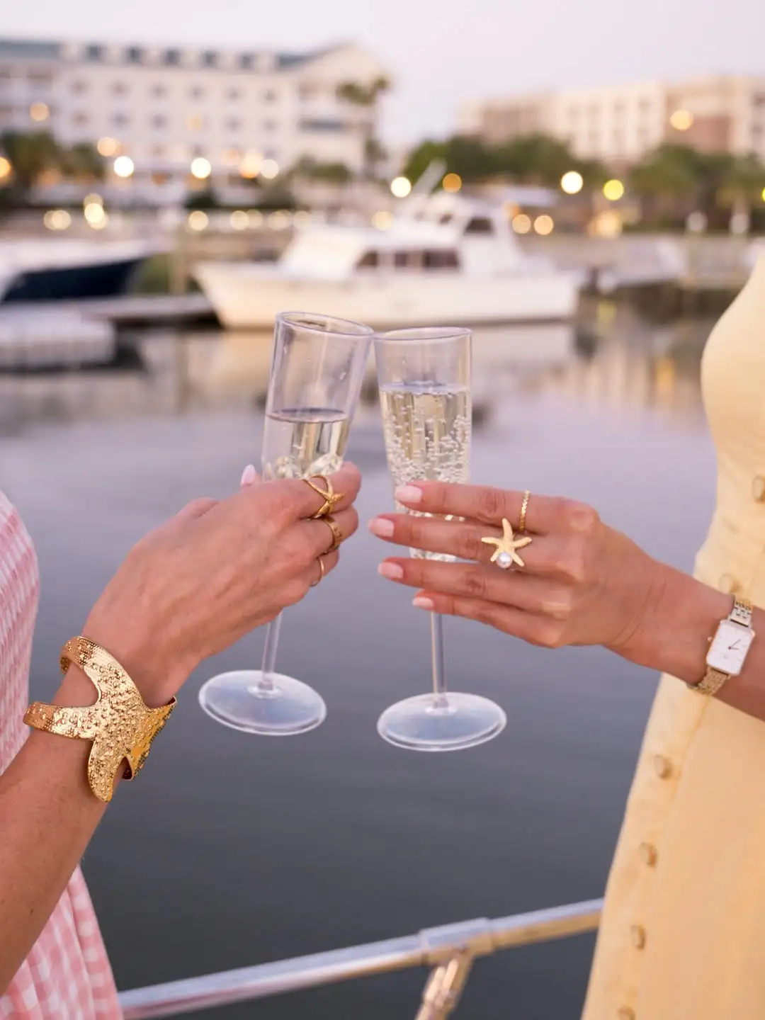 Southern Wonder private yacht for a Charleston celebration